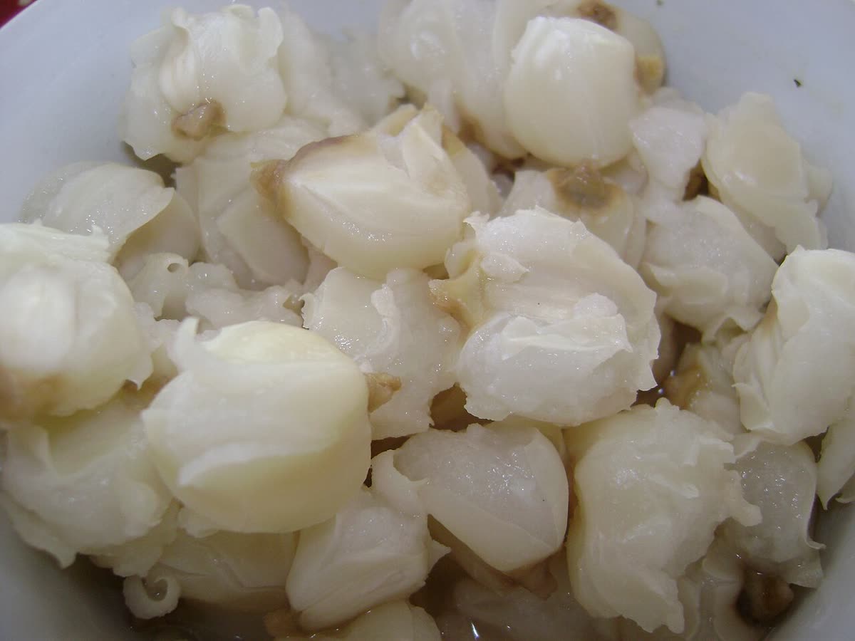 Granos de mote, maíz blanco cocido